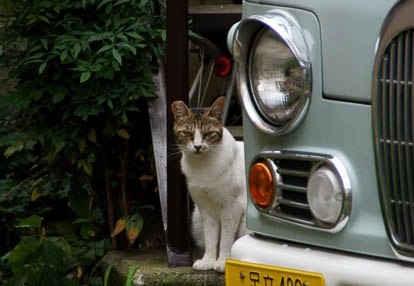 201007091249-DSC02834.jpg