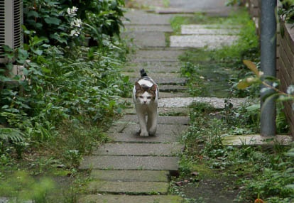 201007091249-DSC02835.jpg