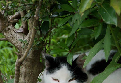 201007091556-DSC02877.jpg