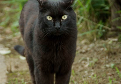 201007091618-DSC02896.jpg