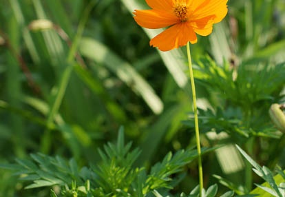 201007100603-DSC02910.jpg