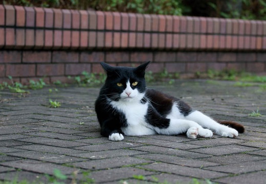201007100658-DSC02966.jpg