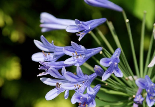 201007100814-DSC03089.jpg