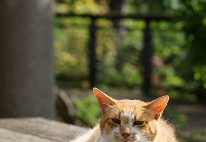 201007100816-DSC03091.jpg