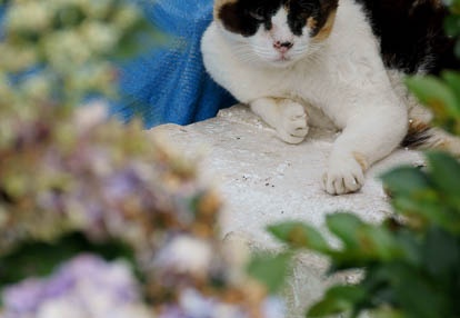 201007111315-DSC03214.jpg
