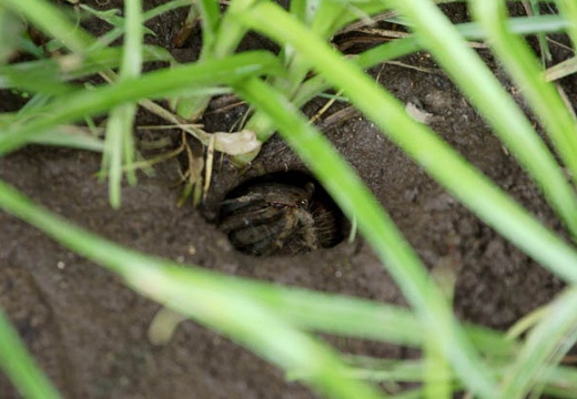 201007111430-DSC03308.jpg