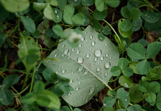 201007121433-DSC03369.jpg