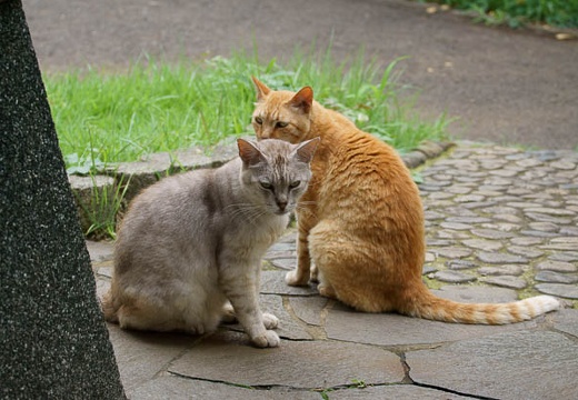 201007131308-DSC03670.jpg