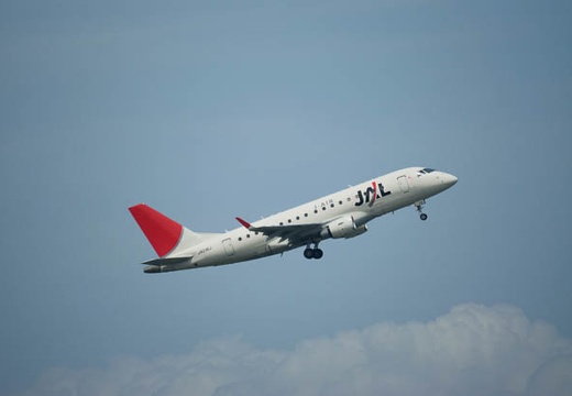 201007141327-DSC03770.jpg