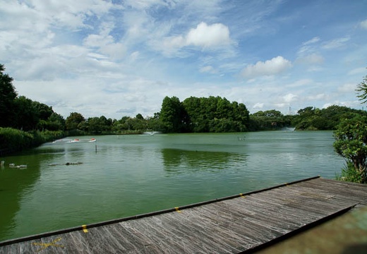 201007141518-DSC03847.jpg