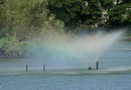 201007141530-DSC03868.jpg