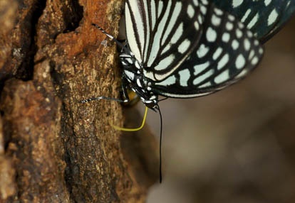 201007141538-DSC03889.jpg