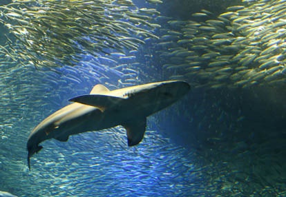 201007161112-DSC04441.jpg