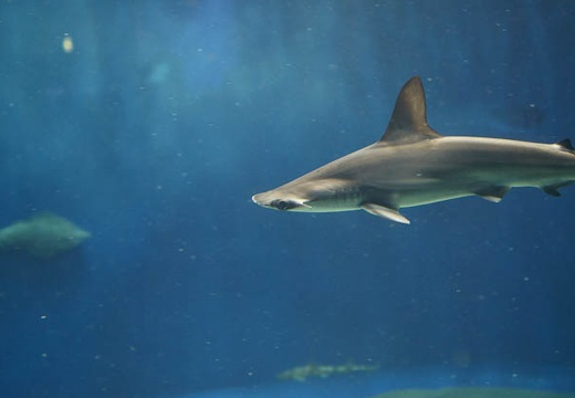 201007161142-DSC04545.jpg