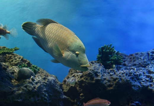 201007161148-DSC04563.jpg