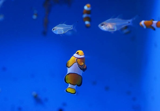 201007161157-DSC04593.jpg