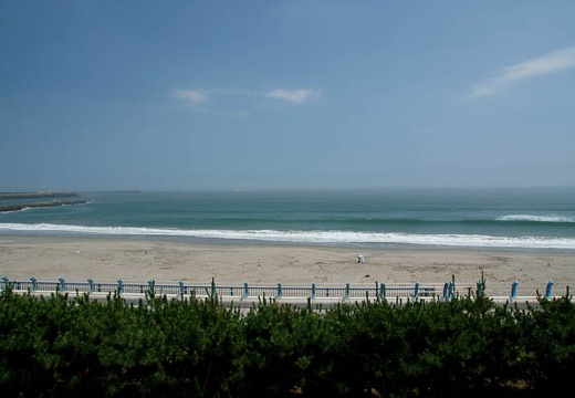 201007161204-DSC04605.jpg