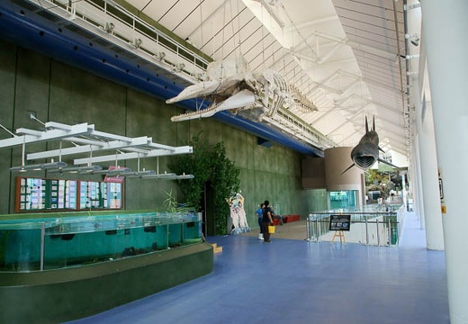 201007161212-DSC04624.jpg