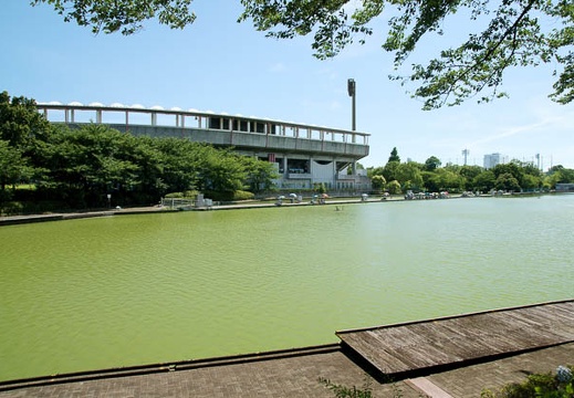 201007171438-DSC05475.jpg