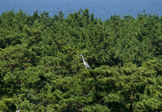 201007180910-DSC05247.jpg