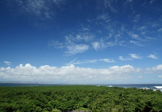 201007180922-DSC05277.jpg