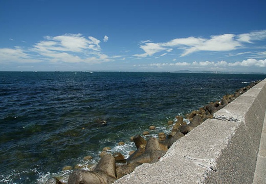 201007181111-DSC05375.jpg