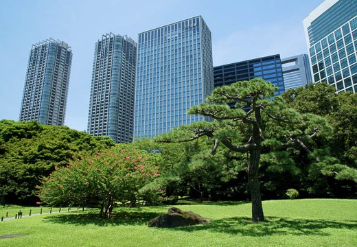 201007191207-DSC05854.jpg