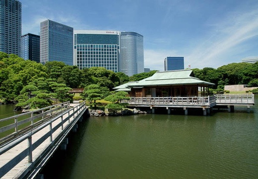 201007191256-DSC05984.jpg