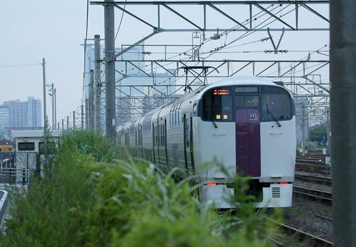 201007221834-DSC07362.jpg