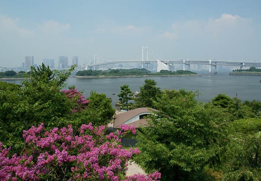 201007231149-DSC07416.jpg