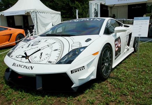 201007231312-DSC07502.jpg