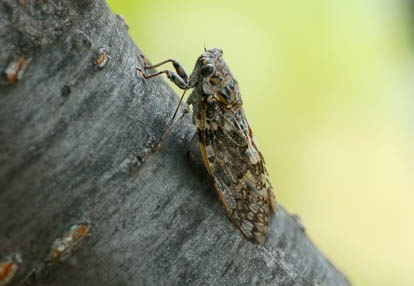 201007240837-DSC07732.jpg