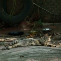 201007240913-DSC07809.jpg