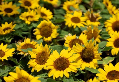 201007261151-DSC07921.jpg