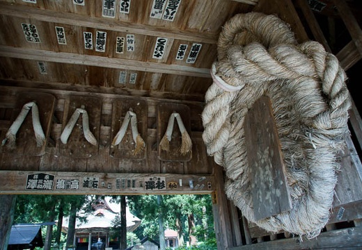 201007270946-DSC08460.jpg