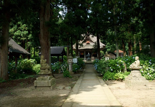 201007270947-DSC08461.jpg