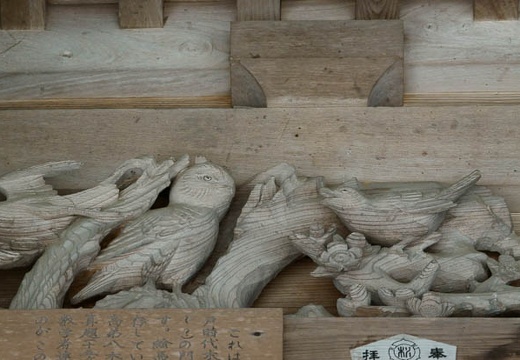 201007271008-DSC08521.jpg