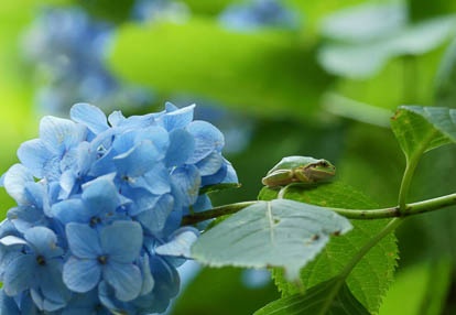 201007271014-DSC08535.jpg