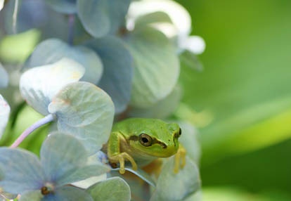 201007271050-DSC08599.jpg