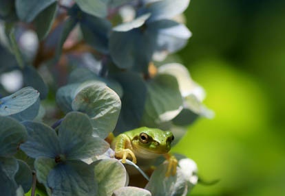 201007271050-DSC08600.jpg