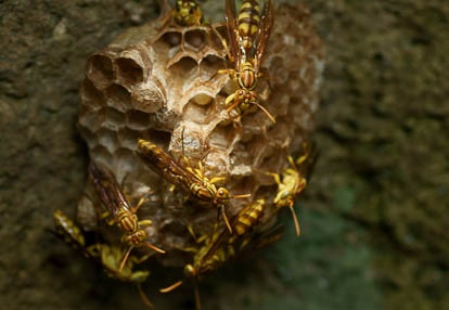 201007271056-DSC08616.jpg