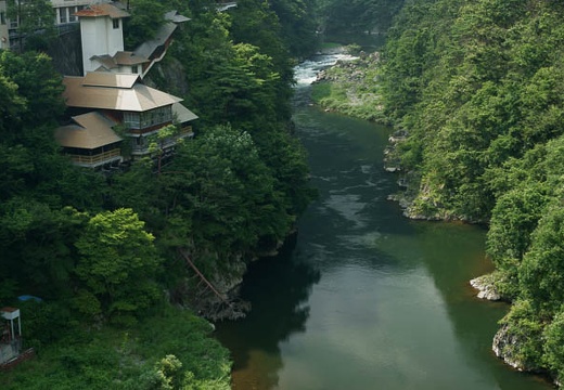 201007271453-DSC08756.jpg