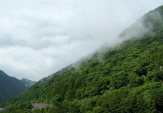 201007271558-DSC08814.jpg