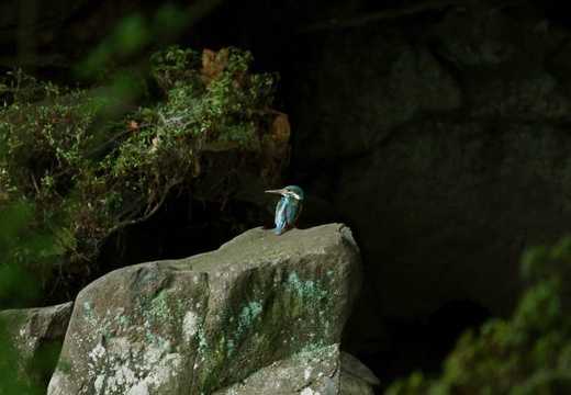 201007291239-DSC08950.jpg