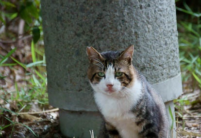 201007291340-DSC09066.jpg