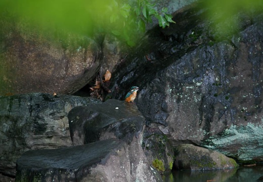 201007291455-DSC09199.jpg