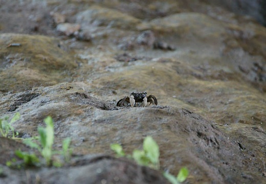 201007301347-DSC09316.jpg