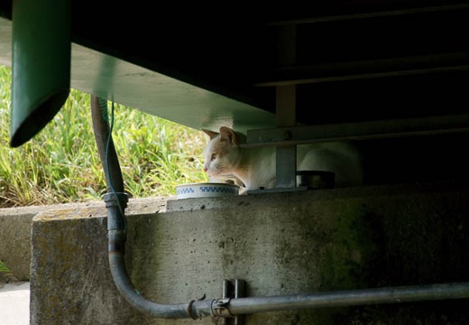 201007301354-DSC09335.jpg