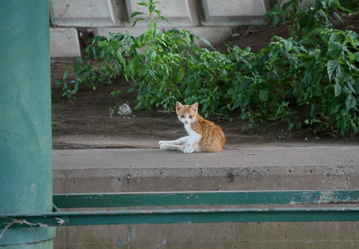 201007301401-DSC09352.jpg