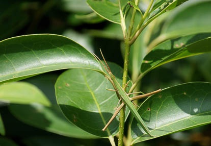 201007301421-DSC09381.jpg